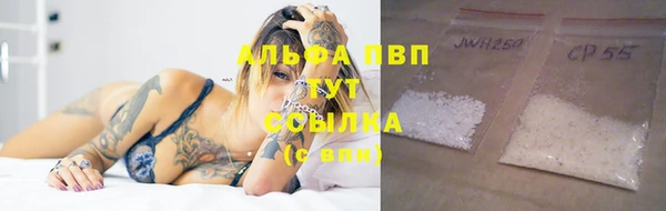 гидра Алексин