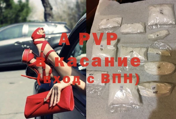 гидра Алексин