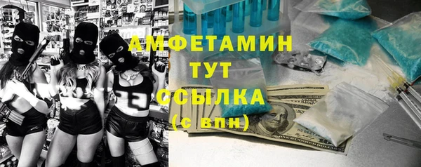 гидра Алексин