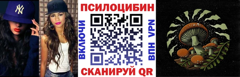 Псилоцибиновые грибы Psilocybe Хадыженск